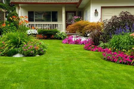 Landscaping & Design